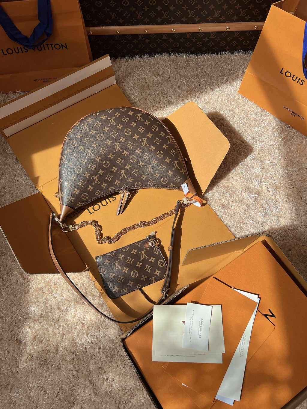 LV Loop Monogram Canvas Hobo Shoulder Crossbody Bag with Chain Detail