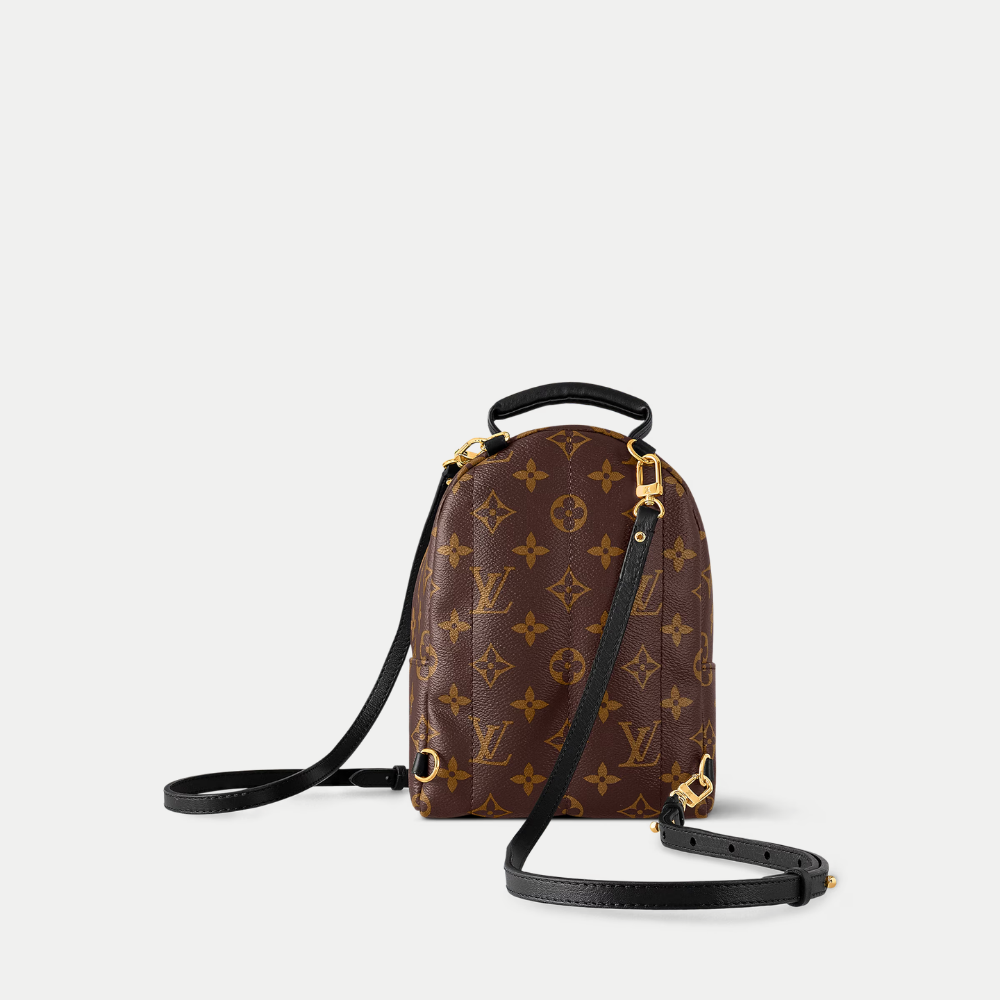 LV Palm Springs Mini Backpack - Brown