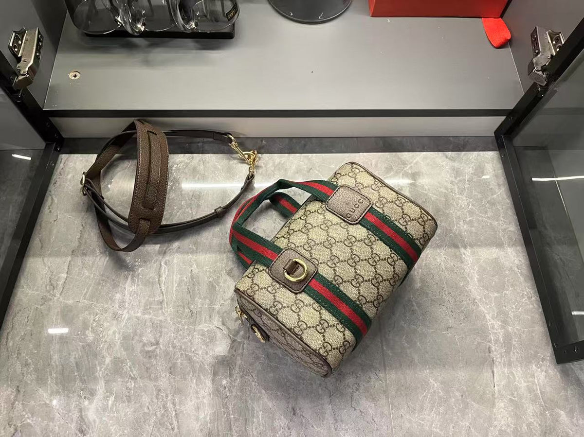 Gucci Mini GG Handbag - Beige and Dark Brown