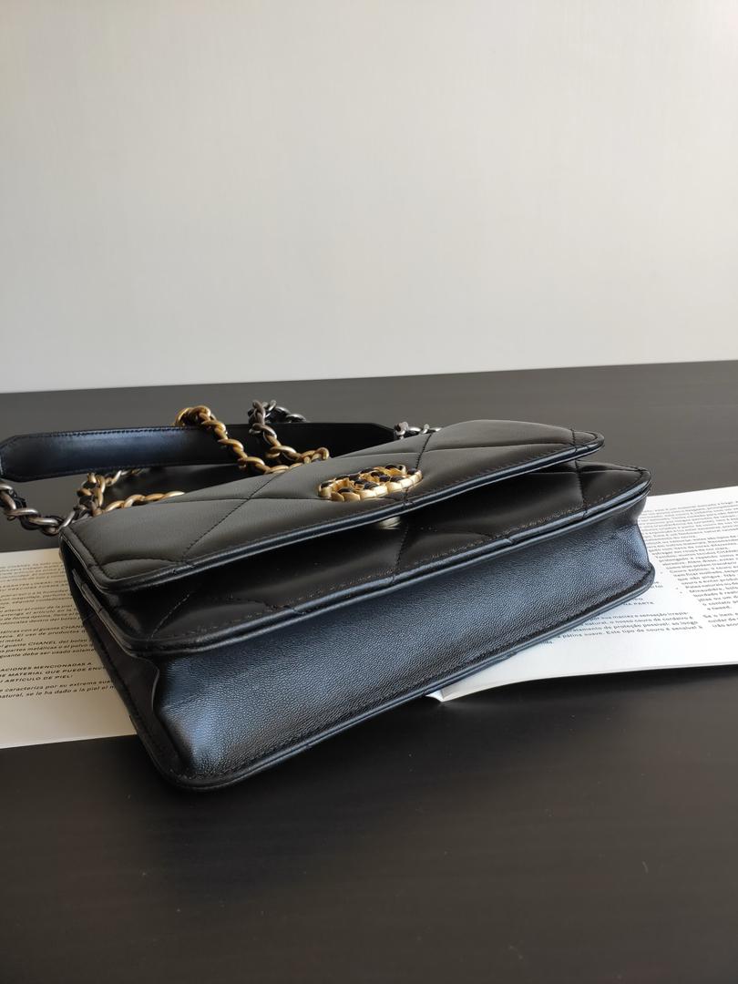 Chanel 19 Wallet On Chain WOC Bag