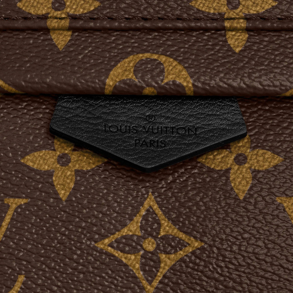 Louis Vuitton Palm Springs PM Handbag