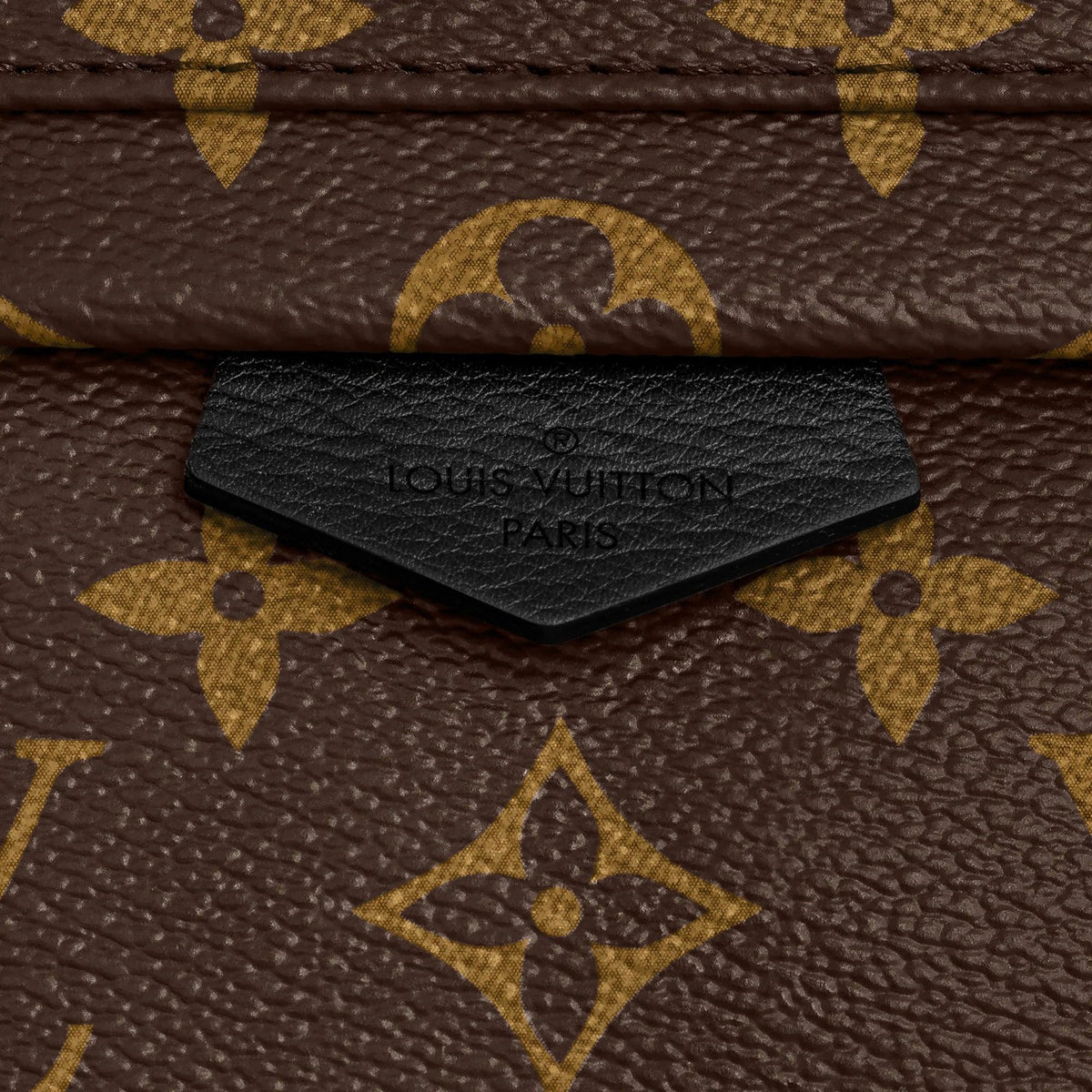 Louis Vuitton Palm Springs PM Handbag