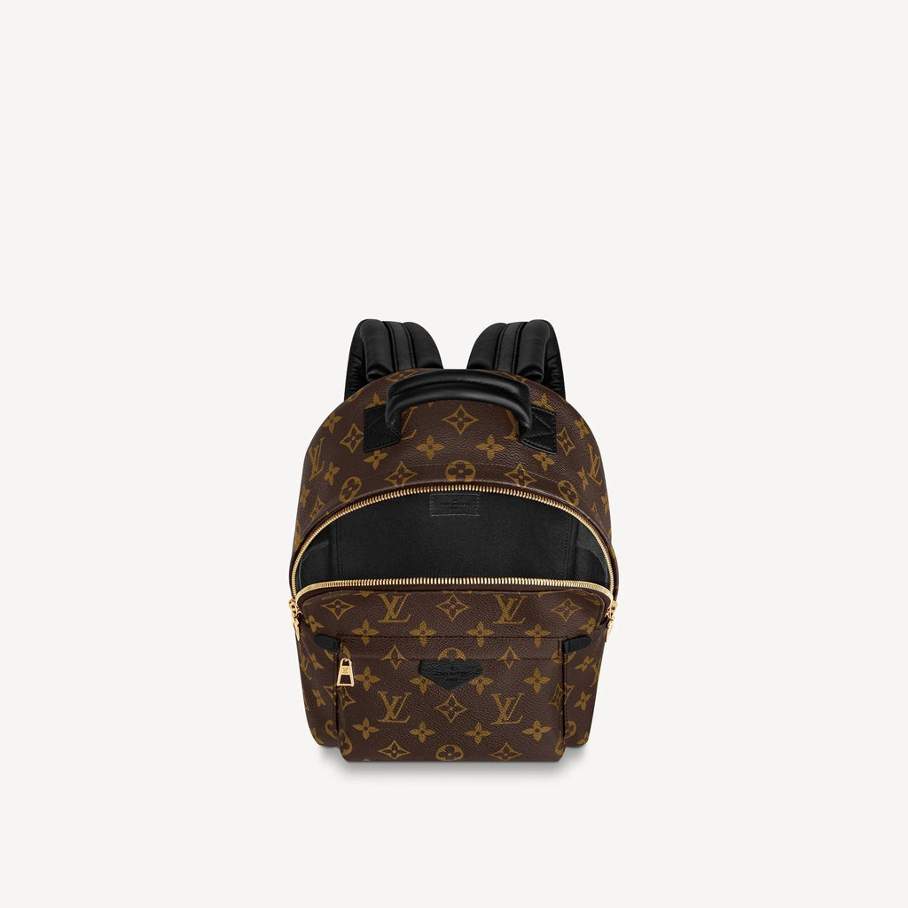 Louis Vuitton Palm Springs PM Handbag