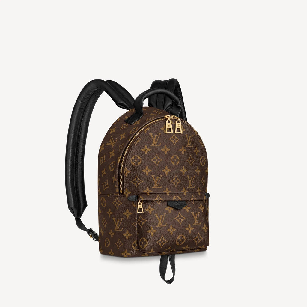 Louis Vuitton Palm Springs PM Handbag