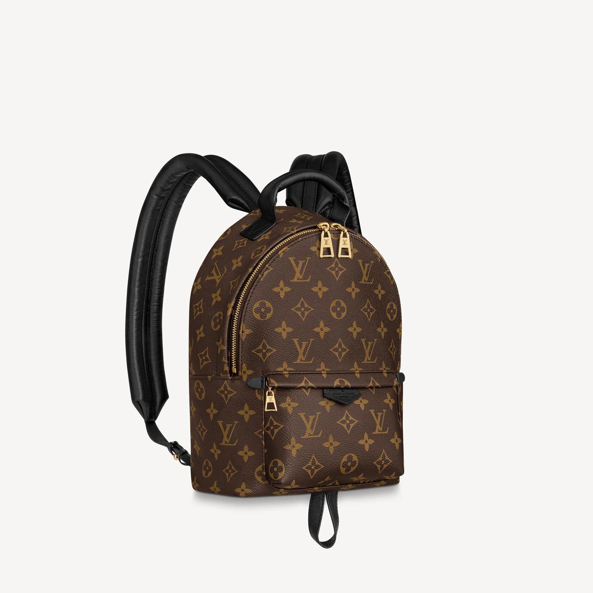 Louis Vuitton Palm Springs PM Handbag