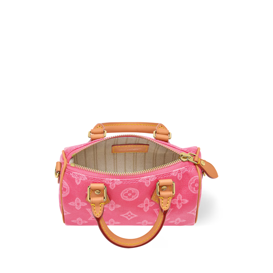 LV Signature Nano Speedy Handbag